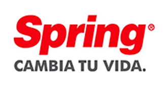 Logo Spring